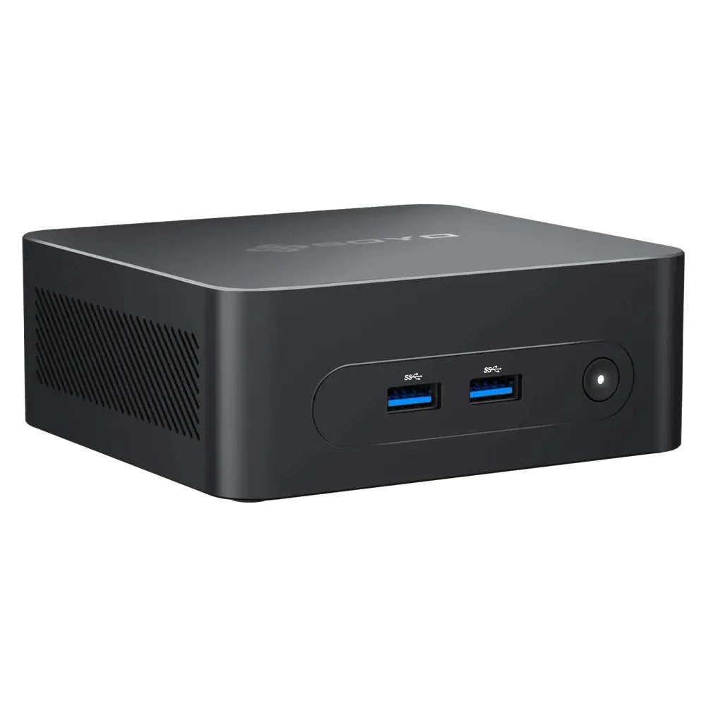 SOYO M2 PLUS 2  Mini PC Intel Alder Lake N100 Windows 11 Pro MiniPC 16GB DDR4  512GB PCIe M.2 SSD WiFi 5 BT5.0 Desktop Computer - ALPENZO