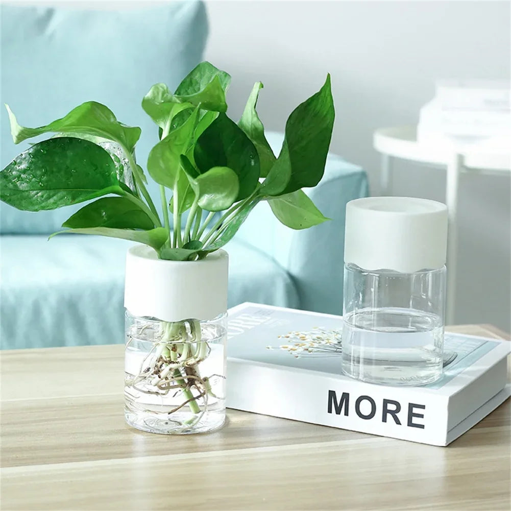 Mini Hydroponic Flower Pot Home Vase Decor Transparent Imitation Glass Soilless Plant Pots Green Plants Pot For Home Decoration - ALPENZO