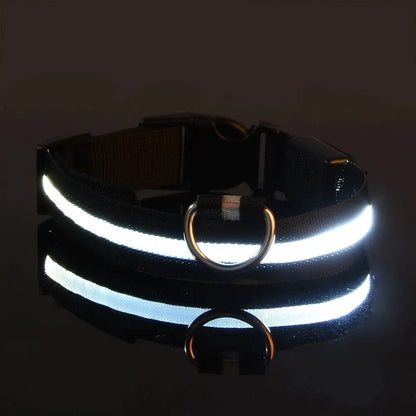 Nylon LED Night Safety Flashing Glow In The Dark Dog Leash Dogs Luminous Fluorescent Pet Dog Collar - ALPENZO