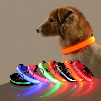 Nylon LED Night Safety Flashing Glow In The Dark Dog Leash Dogs Luminous Fluorescent Pet Dog Collar - ALPENZO