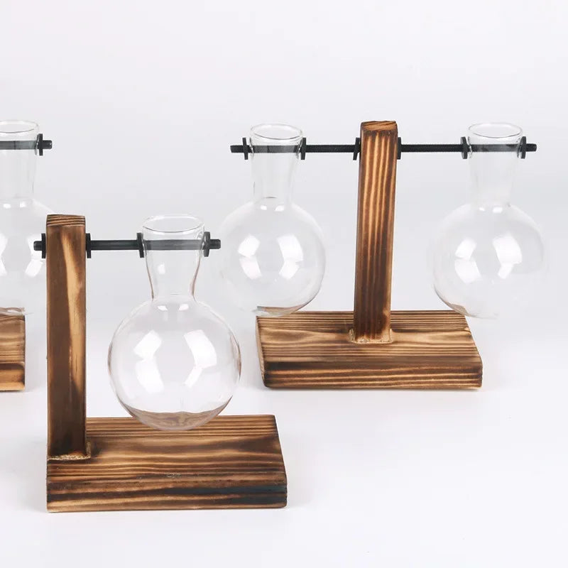 Transparent Bulb Vase with Wooden Stand Desktop Glass Planter for Hydroponics Plants Coffee Shop Room Decor - ALPENZO
