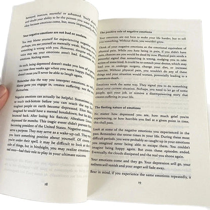 Master Your Emotions English Original Novel By Thibaut Meurisse Overcome Negativity And Better Manage Your Feelings Book ALPENZO