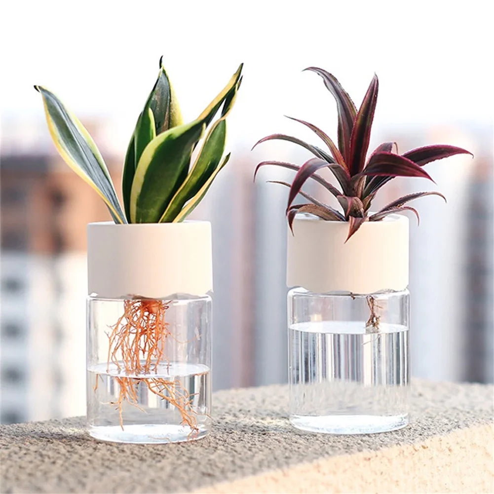 Mini Hydroponic Flower Pot Home Vase Decor Transparent Imitation Glass Soilless Plant Pots Green Plants Pot For Home Decoration - ALPENZO