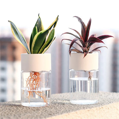 Mini Hydroponic Flower Pot Home Vase Decor Transparent Imitation Glass Soilless Plant Pots Green Plants Pot For Home Decoration - ALPENZO