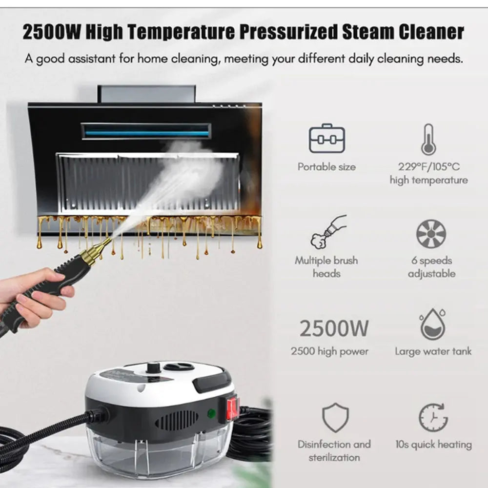 Steam Cleaner High Temperature Sterilization Car Steaming Cleaner Air Conditioning Kitchen Hood Home  110V US Plug /220V EU Plug - ALPENZO
