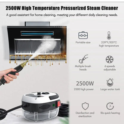 Steam Cleaner High Temperature Sterilization Car Steaming Cleaner Air Conditioning Kitchen Hood Home  110V US Plug /220V EU Plug - ALPENZO