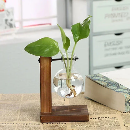 Transparent Bulb Vase with Wooden Stand Desktop Glass Planter for Hydroponics Plants Coffee Shop Room Decor - ALPENZO