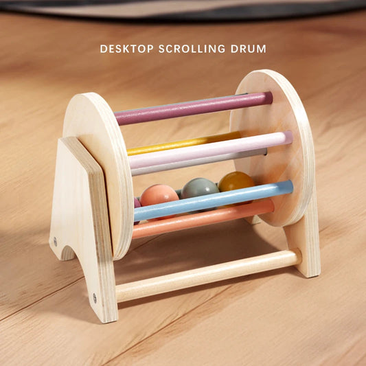 Montessori Infant Wooden Toys Coin Ball Busy Drum Baby Teaching Aid Gifts Color Shape Cognition Match Educational Sensory Toy ALPENZO