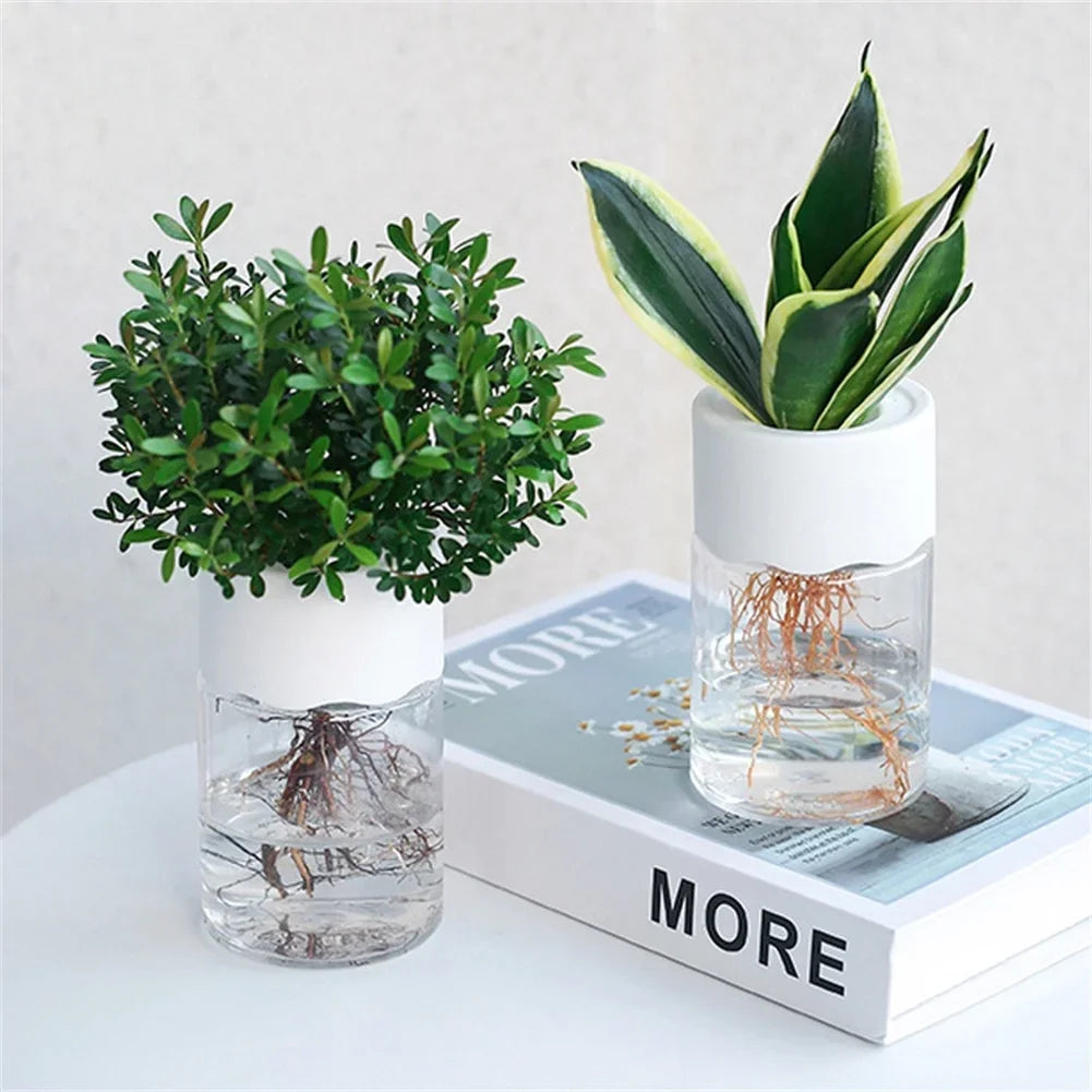 Mini Hydroponic Flower Pot Home Vase Decor Transparent Imitation Glass Soilless Plant Pots Green Plants Pot For Home Decoration - ALPENZO