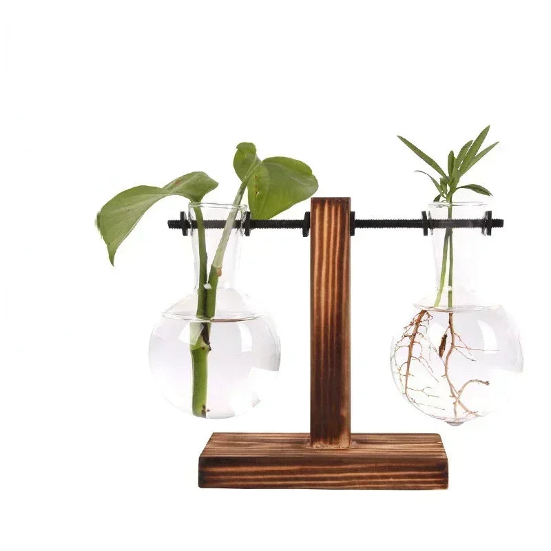 Transparent Bulb Vase with Wooden Stand Desktop Glass Planter for Hydroponics Plants Coffee Shop Room Decor - ALPENZO