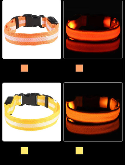 Nylon LED Night Safety Flashing Glow In The Dark Dog Leash Dogs Luminous Fluorescent Pet Dog Collar - ALPENZO
