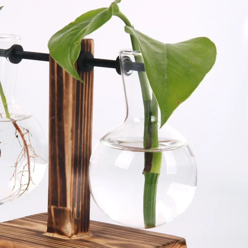 Transparent Bulb Vase with Wooden Stand Desktop Glass Planter for Hydroponics Plants Coffee Shop Room Decor - ALPENZO
