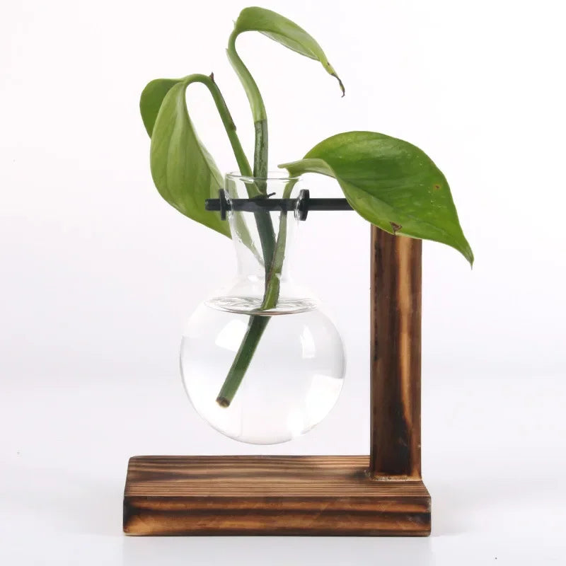 Transparent Bulb Vase with Wooden Stand Desktop Glass Planter for Hydroponics Plants Coffee Shop Room Decor - ALPENZO