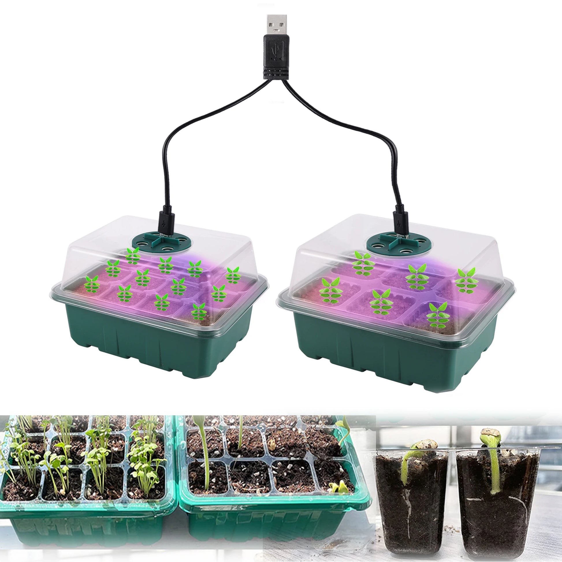 Seed Starter Tray Box With LED Grow Light Nursery Pot Seedling Germination Planter Adjustable Ventilation Humidity 6/12/13 Cell - ALPENZO