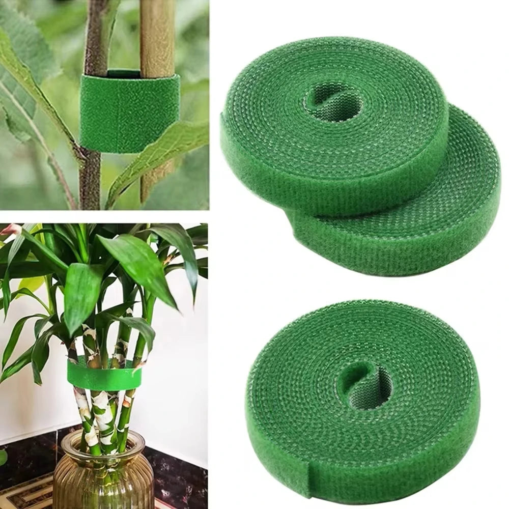 5M Nylon Plant Bandage Tie Reusable Plant Hook Loop Ties Green Fastener Tape Bamboo Cane Wrap Support Home Garden Accessories - ALPENZO