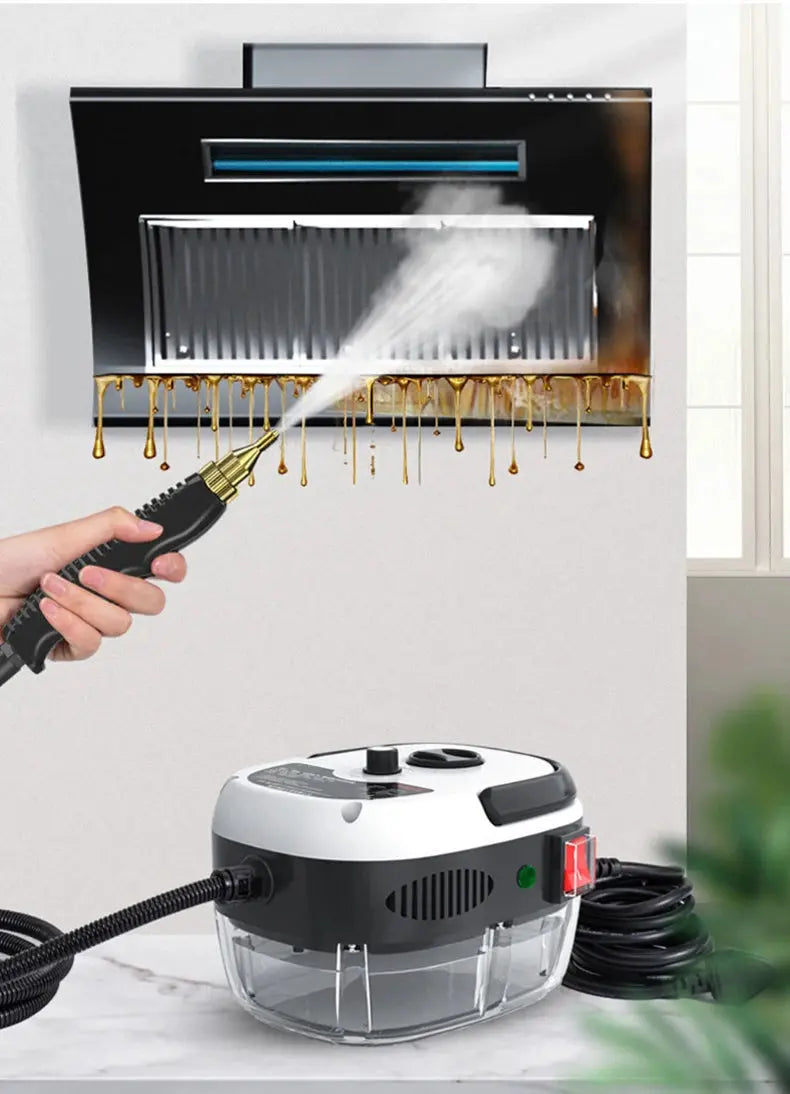 Handheld steam pressure washer Portable sofa Kitchen floor high temperature autumn and winter essential 1500W - ALPENZO