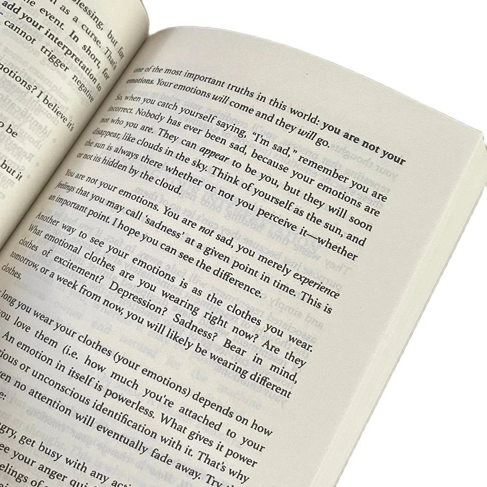 Master Your Emotions English Original Novel By Thibaut Meurisse Overcome Negativity And Better Manage Your Feelings Book ALPENZO