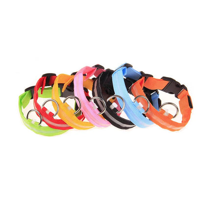 Nylon LED Night Safety Flashing Glow In The Dark Dog Leash Dogs Luminous Fluorescent Pet Dog Collar - ALPENZO