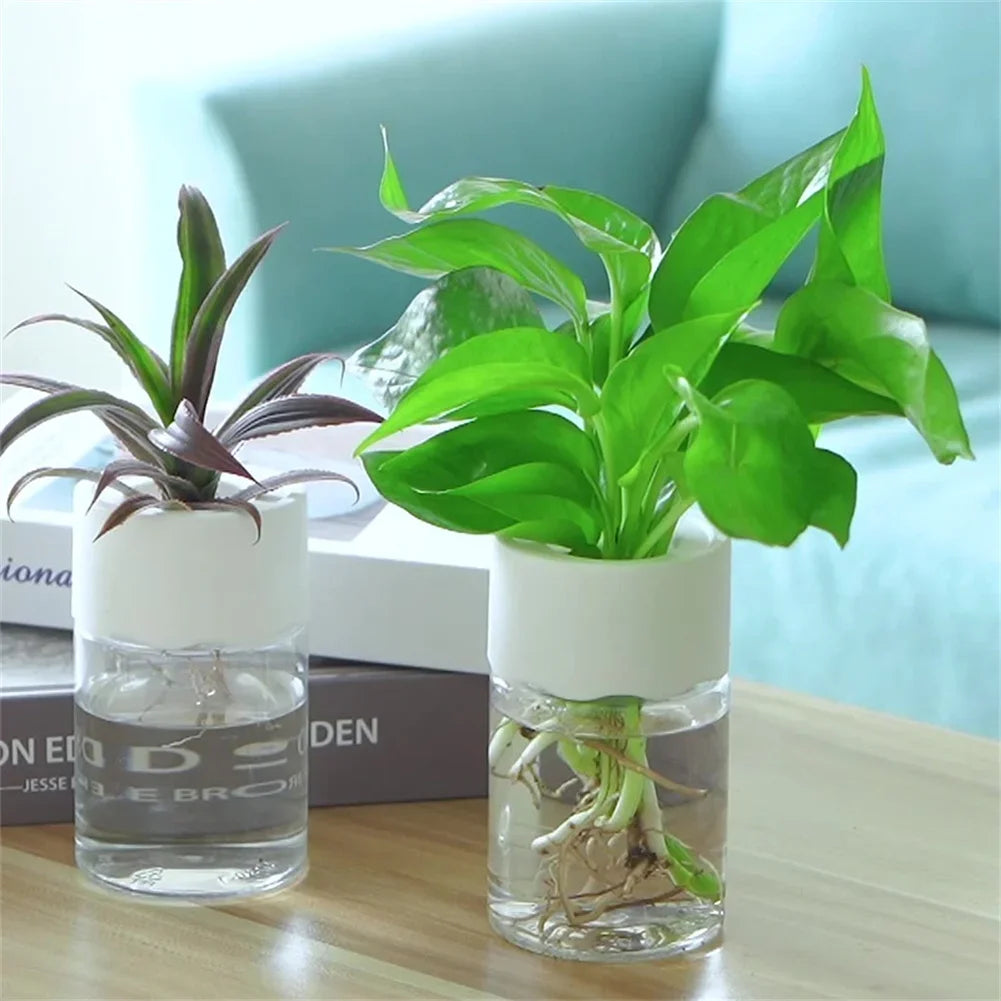Mini Hydroponic Flower Pot Home Vase Decor Transparent Imitation Glass Soilless Plant Pots Green Plants Pot For Home Decoration - ALPENZO