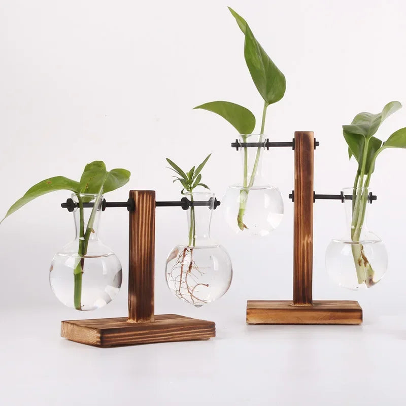 Transparent Bulb Vase with Wooden Stand Desktop Glass Planter for Hydroponics Plants Coffee Shop Room Decor - ALPENZO