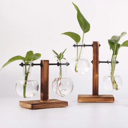Transparent Bulb Vase with Wooden Stand Desktop Glass Planter for Hydroponics Plants Coffee Shop Room Decor - ALPENZO