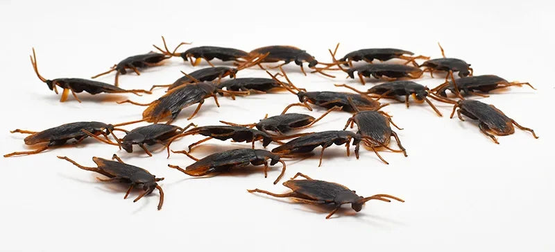 Special Lifelike Model Simulation Fake Rubber Cock Cockroach Roach Bug Roaches Toy Prank Funny Trick Joke Toys April Fools Prank ALPENZO
