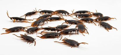 Special Lifelike Model Simulation Fake Rubber Cock Cockroach Roach Bug Roaches Toy Prank Funny Trick Joke Toys April Fools Prank ALPENZO