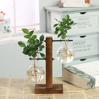 Transparent Bulb Vase with Wooden Stand Desktop Glass Planter for Hydroponics Plants Coffee Shop Room Decor - ALPENZO