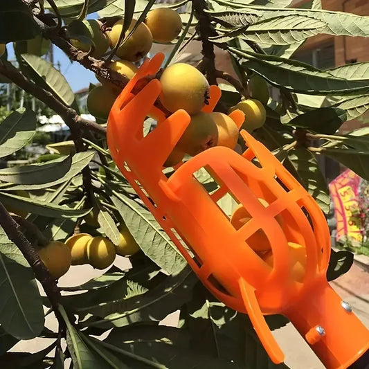 1PC High-Altitude Fruit Picker, Plastic Garden Harvesting Tool for Loquat, Bayberry, Peach, Plum & Jujube - ALPENZO
