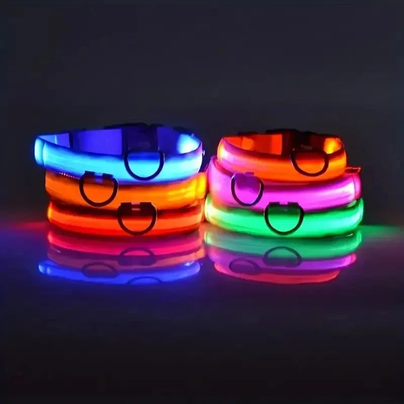 Nylon LED Night Safety Flashing Glow In The Dark Dog Leash Dogs Luminous Fluorescent Pet Dog Collar - ALPENZO